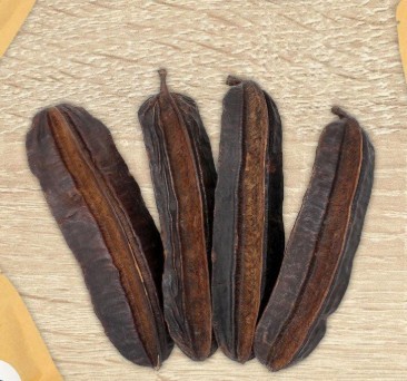 4 cotes fruits d