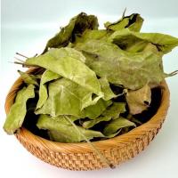 Feuille d hysope