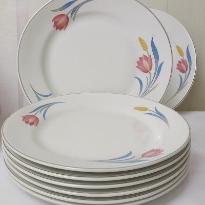 Lot de 6 assiette plate
